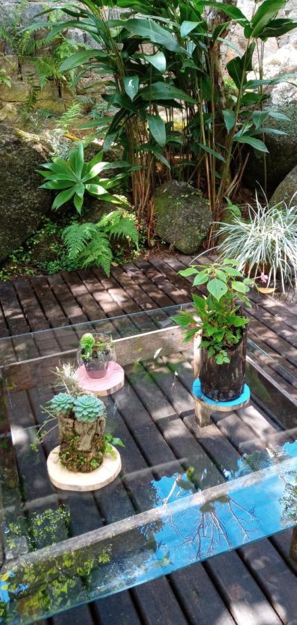 Kitnet E Suite Morada Aguiar - Chale Ilha Grande Exterior foto