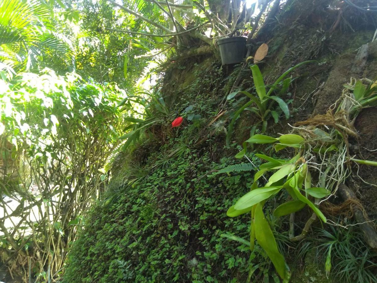 Kitnet E Suite Morada Aguiar - Chale Ilha Grande Exterior foto
